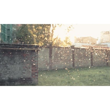 Filtr antysmogowy do oczyszczacza Pure A9 CLEAN360