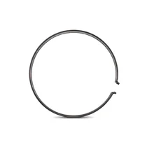 Pierścień przesuwnika zbiornika plastikowego do pralki Ariston / Indesit C00042410 482000074042