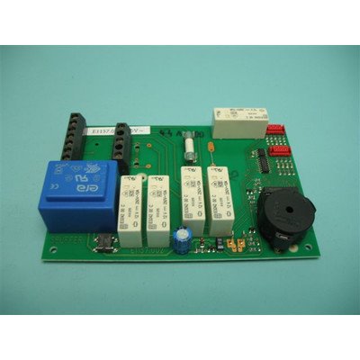 Moduł elektroniczny (1004110)