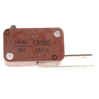 Mikrowyłącznik zestawu zamykającego (C00118781) 482000029051