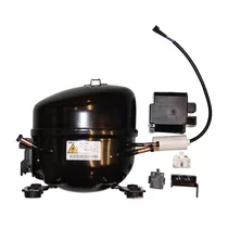 Kompresor chłodziarko-zamrażarki Amica PZ55H1X 1035456