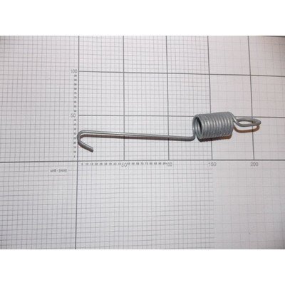 Sprężyna podtrzymująca (1005390)