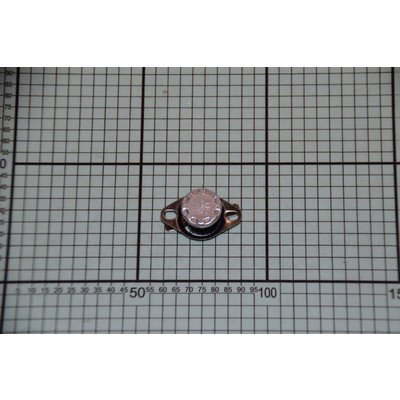 Termostat (1035893)