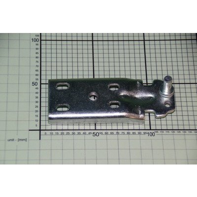 Zawias dolny (1033113)