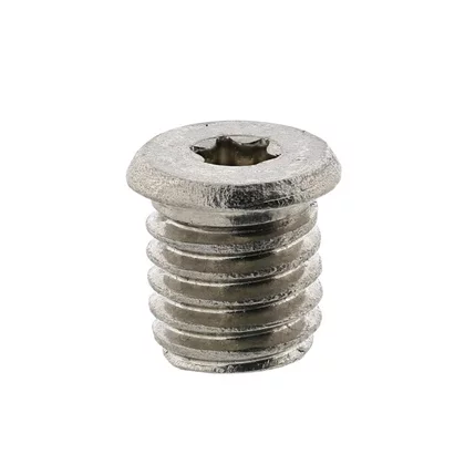 Elementy obudowy Wkręt regulacyjny do drzwi piekarnika Electrolux / AEG M8x8 T20 3543257012