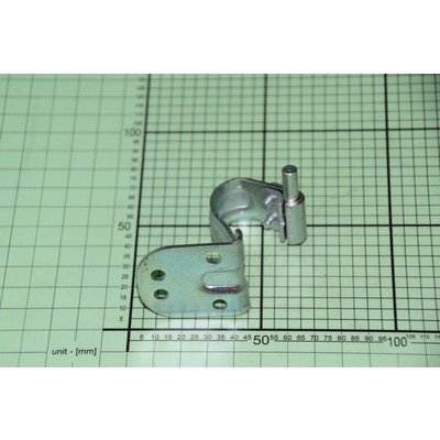 Zespół zawiasu górny prawy '09 ocynkowany (8043018)