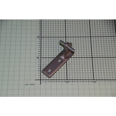 Zawias środkowy (1032147)