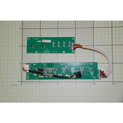 Zespół wyświetlacza (1036521)