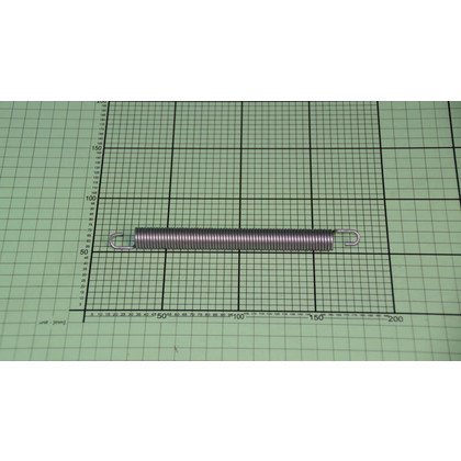 Sprężyna zawiasu (1007766)