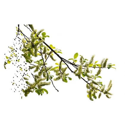 Filtry oczyszczaczy powietrza Filtr węglowy BREATHE360 Pollen Protect do oczyszczacza powietrza Electrolux / AEG Pure A9 EFDBTH6 9009229775