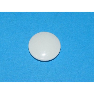 Zaślepka uchwytu (420294)