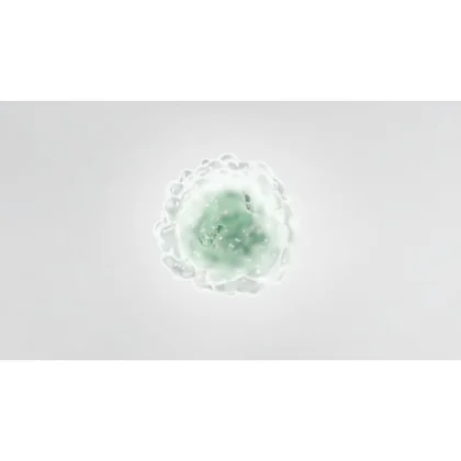 Filtry oczyszczaczy powietrza Filtr antybakteryjny i antywirusowy do oczyszczacza powietrza Electrolux / AEG Pure A9 600 CADR