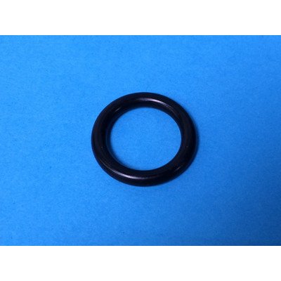 Uszczelka O-ring (793445)
