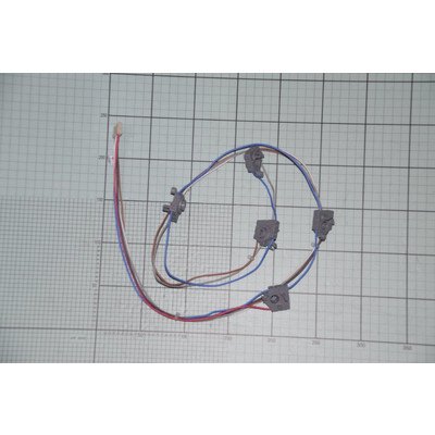 Zespół łącznika zapalacza gazu 5-p EGME (8056069)