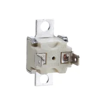 Bezpiecznik termiczny do piekarnika Whirlpool / Indesit / Ariston / Hotpoint 200°C 480121104066 C00311766
