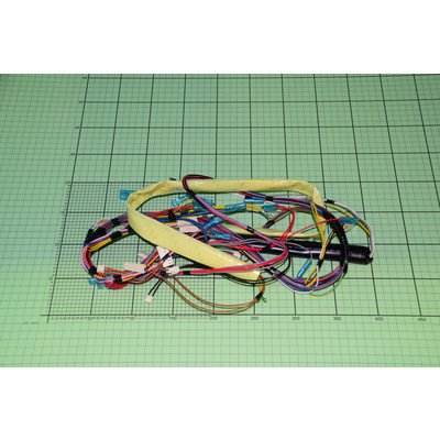 Wiązka przewodów zmywarki Amica (1039387)