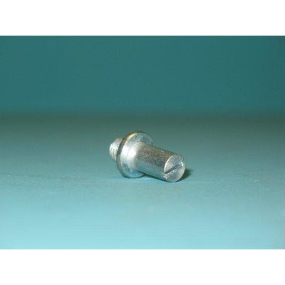 Oś zawiasu (1022462)