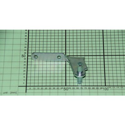 Zawias środkowy chłodziarko-zamrażarki Amica (1040976)