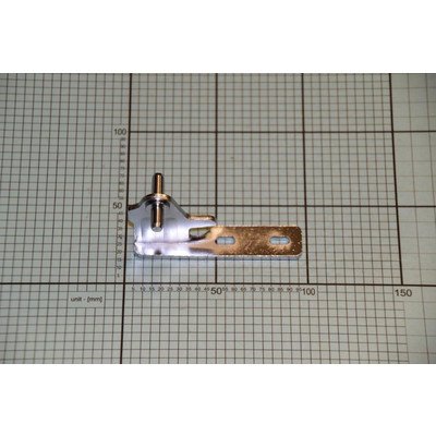 Zawias środkowy (1036954)