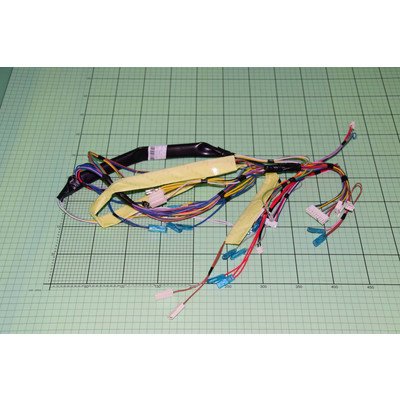 Główna wiązka przewodów (1039743)