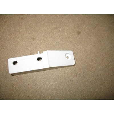 Zawias dolny (stopka prawa) (1022076)