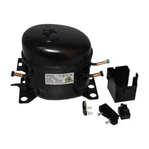 Kompresor do lodówki i chłodziarko-zamrażarki Amica DFB69S 1/8 HP R600a 1033776