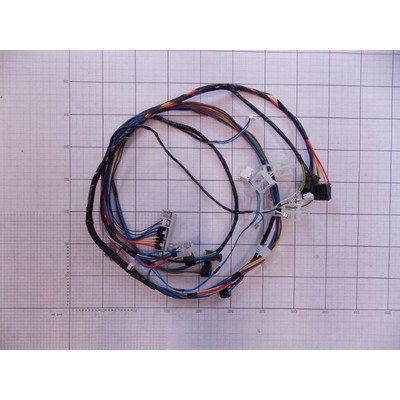 Zespół wiązki (1030628)