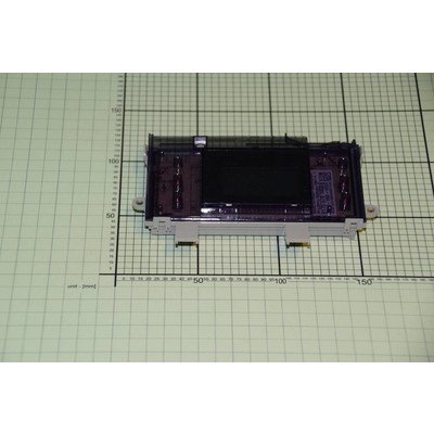 Zespół wyświetlacza (1017628)