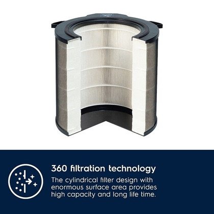 Filtr EPA zintegrowany z filtrem węglowym do oczyszczacza powietrza EFDBTH4 Electrolux (9009229742)
