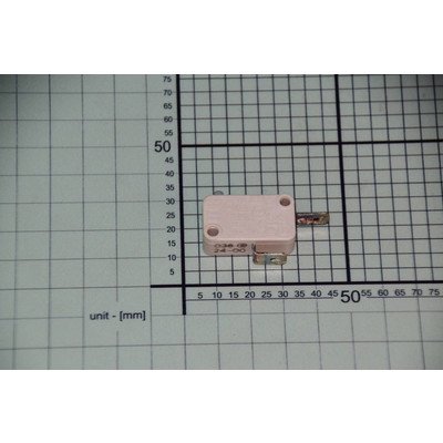 Mikrowyłącznik (1003983)