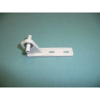 Zawias środkowy (1013862)