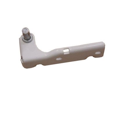 Zawias dolny (1022453)