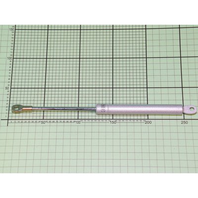 1044259 Siłownik AMICA