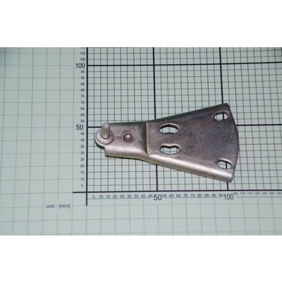 Podstawa zawiasu Amica (1020168)