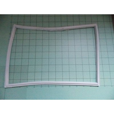 Uszczelka drzwi zamrażarki 448x634 biała (1031567)