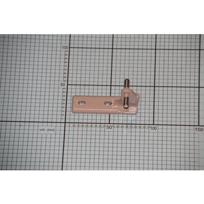 Zawias środkowy (1034702)