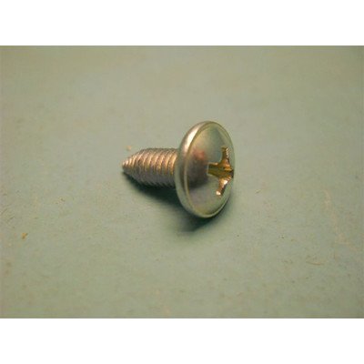 Wkręt uziemienia ST4X12 do pralki Amica (1017671)