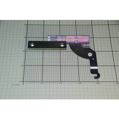 Zawias prawy (1031756)