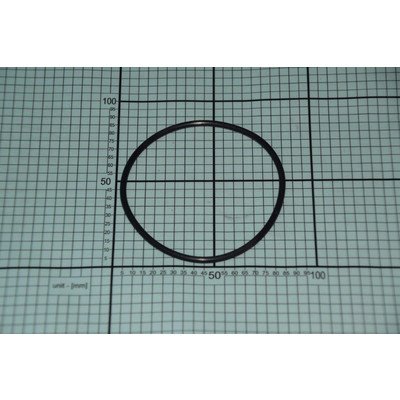 Uszczelka pompy (1032160)