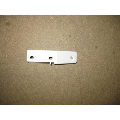 Zawias dolny (stopka lewa) (1022077)