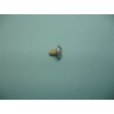 Śruba lodówki (1005990)