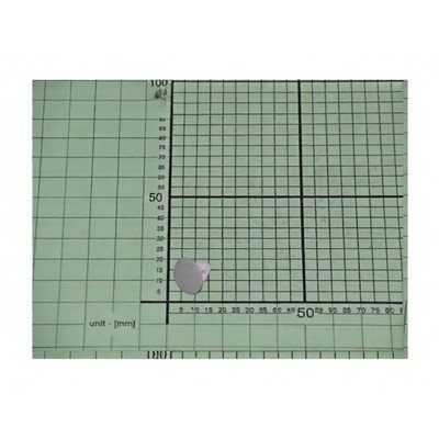 Zaślepka osi uchwytu drzwi do zamrażarki Amica fi 14 mm alu 8020261 101.55.159