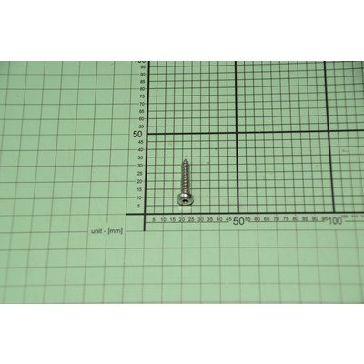 1992983 Screw - 5.5 x 25 AMICA