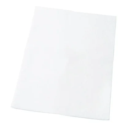 Filtr przed silnikiem do odkurzacza Electrolux / AEG EF54 2 szt. 9000843053
