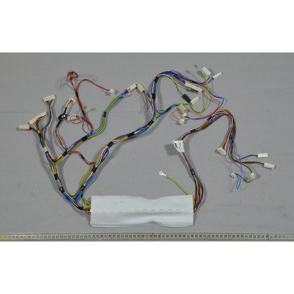 Główna wiązka przewodów