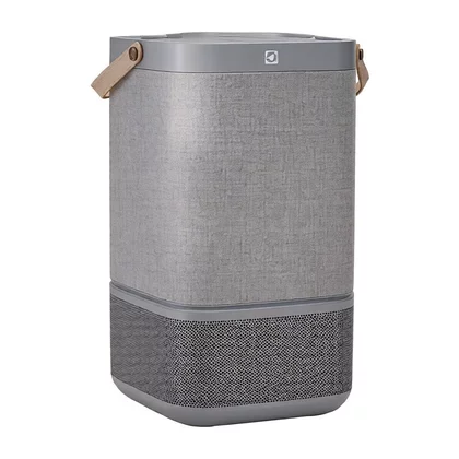 Filtry oczyszczaczy powietrza Filtr węglowy do oczyszczacza powietrza Electrolux / AEG Pure A9 / Pure 600 XL EFDFRH6 9009229924