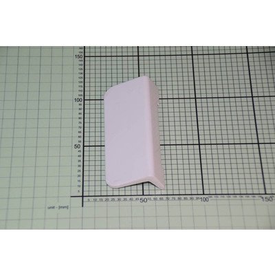 Uchwyt drzwiczek (1019810)