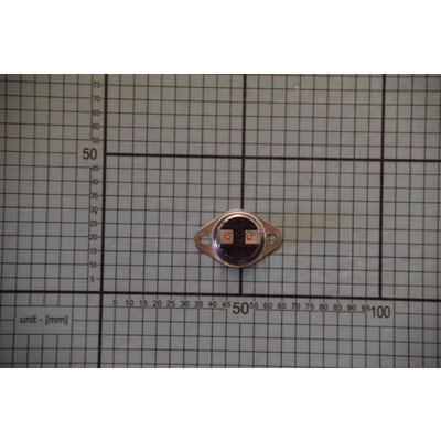 Termostat 160/95-v (1034755)