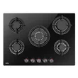 1190670 - PGA5.0XbZpZtAoGb (PGCA7101AoB) Amica