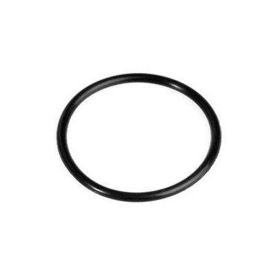 Uszczelka O-RING 21 X 1,5MM 6.363-536.0